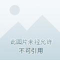 亿万首席，请息怒！